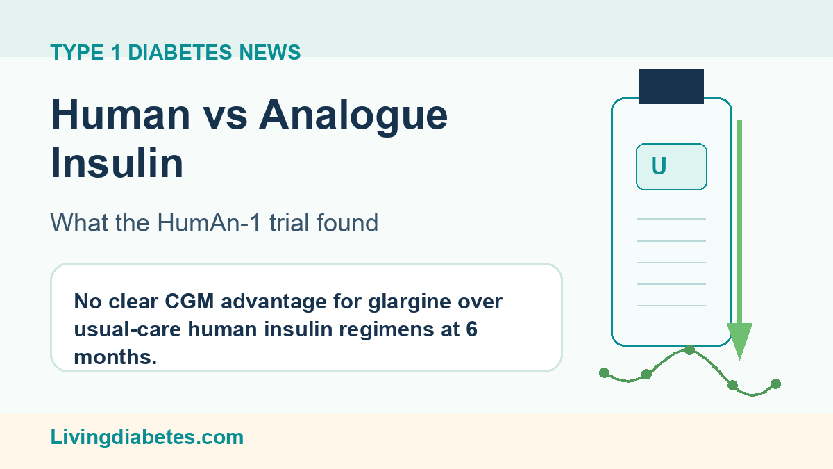 Livingdiabetes medical news graphic about the HumAn-1 insulin trial in young people with type 1 diabetes.